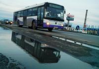 Imagine atasata: IMG_20140210_175330copy.jpg